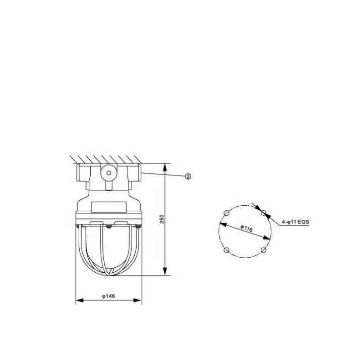 100W marine incandescent explosion proof lamp 220V CFD1