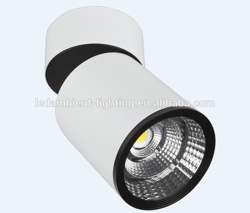 New Products 220V 25W LED Light CRI>90 Column Ceiling Spot Light