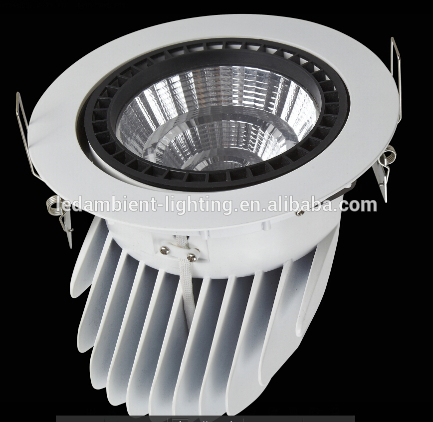 Free Voltage Dustproof Recessed COB Downlight 20W 35W Down Spotlighting