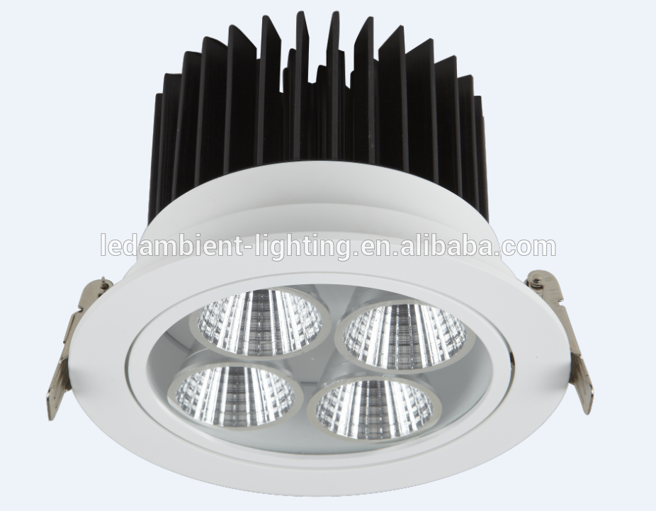 LED Power Supply 48w LED Ceiling Spot Light for Jewellery Shop