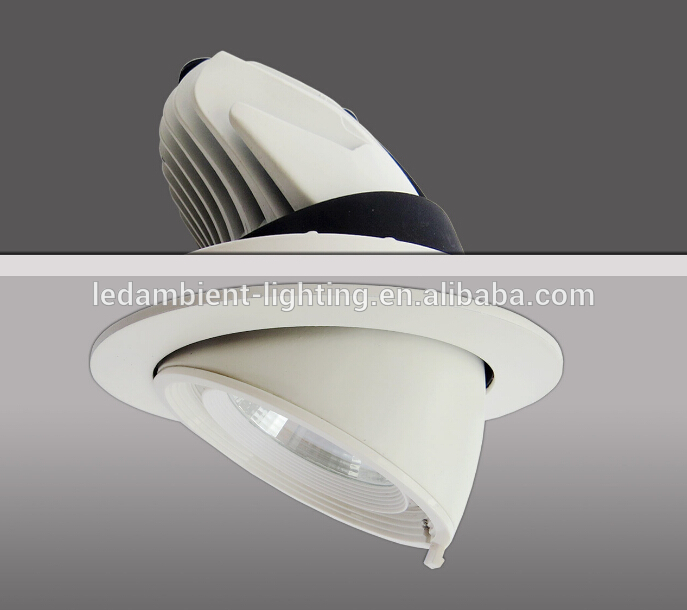 COB chip LED light rotatable downlight 30 watt 4000k downlight housing