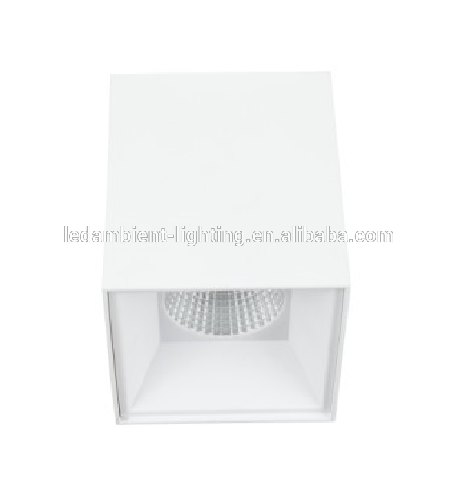 Surface Mounted LED Ceiling Light 15W/25W Dia.6 Inch Column or Cube Light