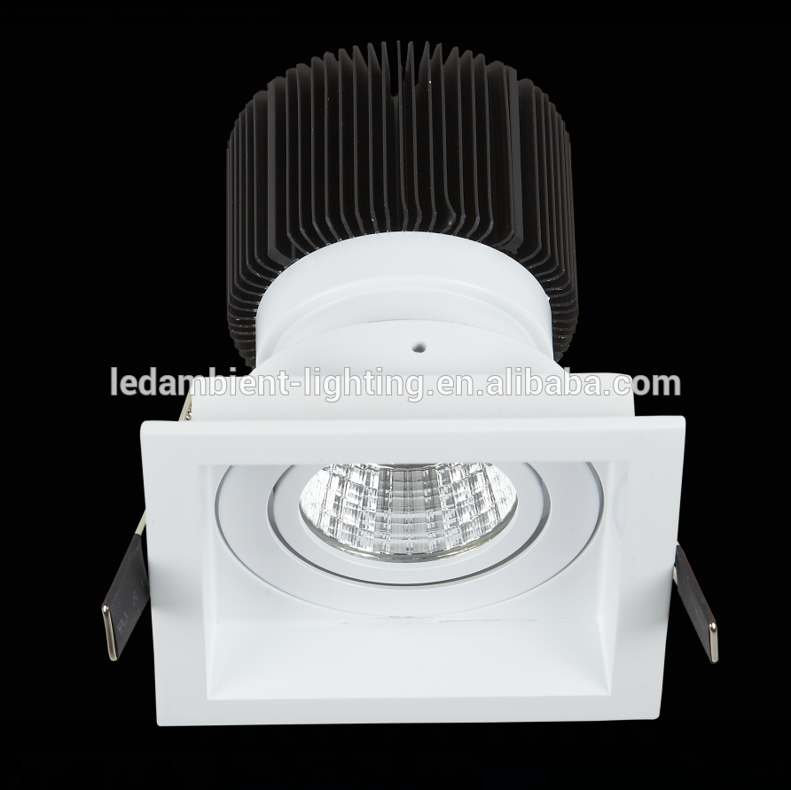 LEDAM Surface Mounted LED Ceiling Spotlights Small Angle Free Standing 15W COB Spotlight Rotating