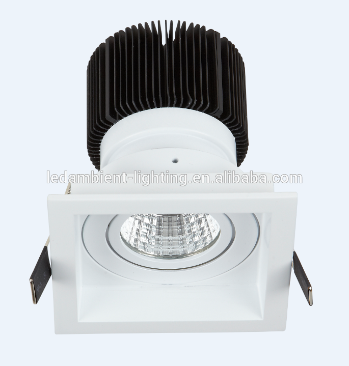 LED Spotlight 30W Indoor LED Ceiling Light Spot Indoor Light CE