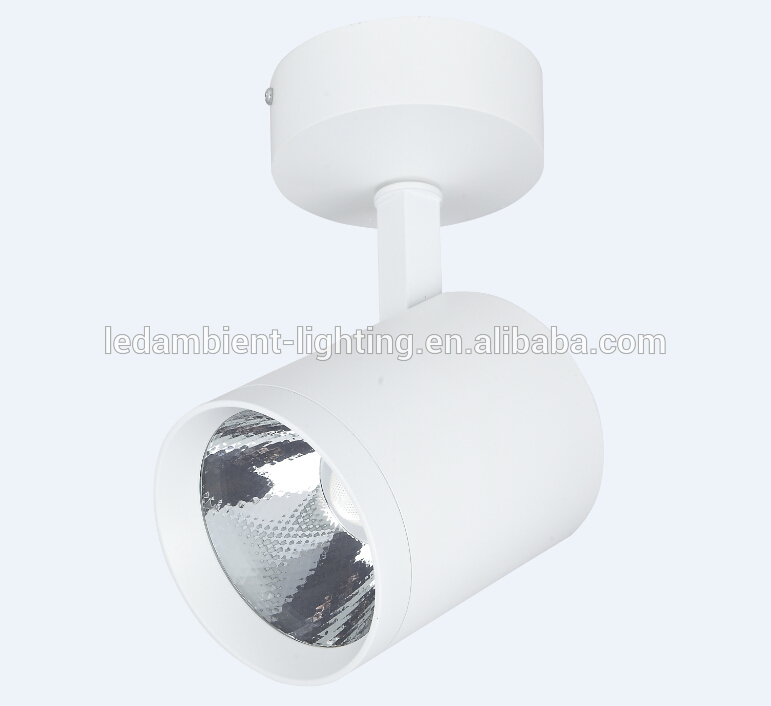 Matt White LED Ceiling Spotlight 30W COB Surface Mounted LED Light