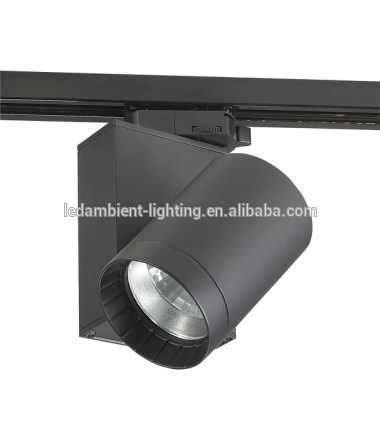 Traditional Track Light Dimmable Filament 50w rail 110v