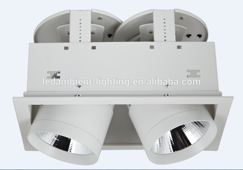 Aluminum Die Casting 60w Double Lights COB Ceiling Spot LED Light cxa1820