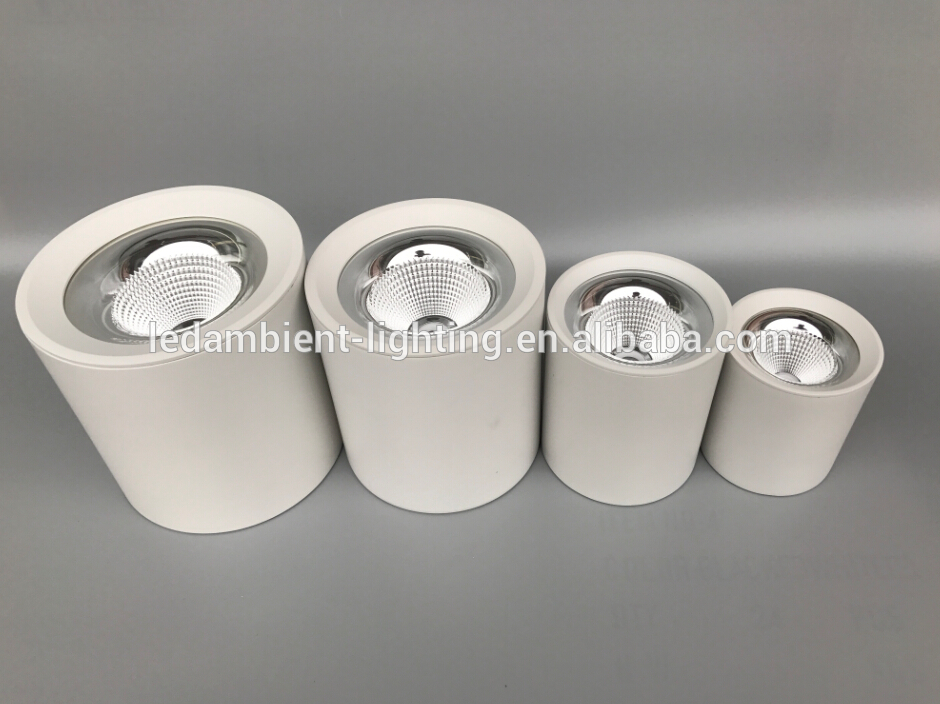 surface mount ceiling cylinder downlight with SCR or DALI dimmable led driver lighting control