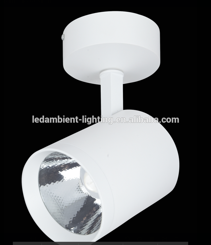 Restaurant using LED Aluminium ceiling type COB surface mount lights profile fixtures