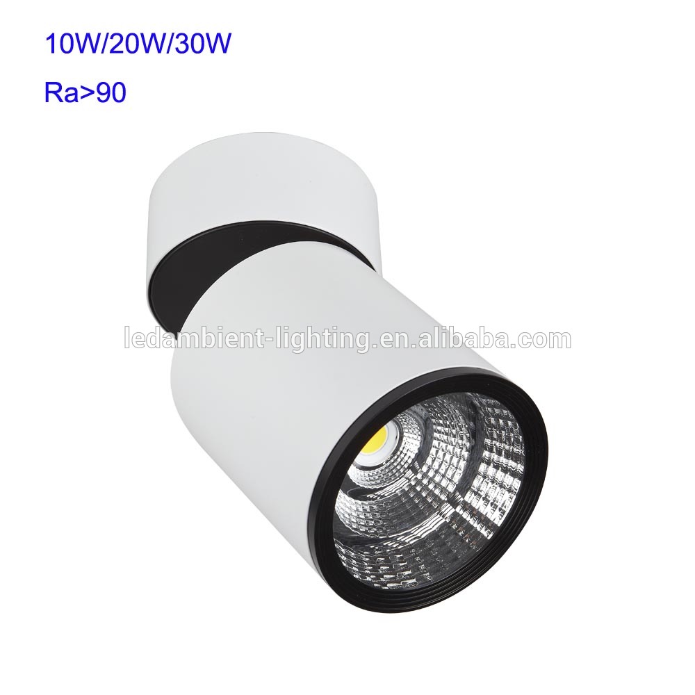 Factory outlet 10w/20w/30w aluminum surface mounted adjustable down spot lights led Ra>90 high lumens