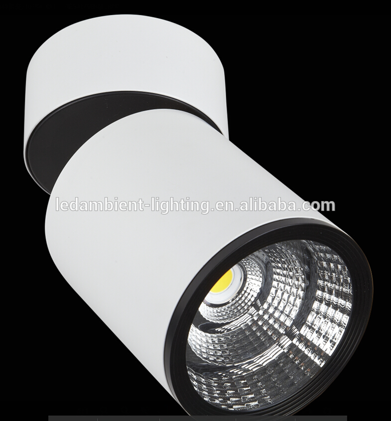 High Quality IP67 Downlight LED Matt White Fitting Housing LED Downlight SMD