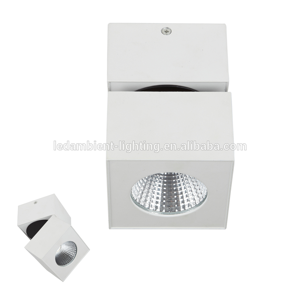 Rotated Surface Mounted Square Spotlight 10W/20W/30W For Funitrue,Ceiling Mounted Spotlight