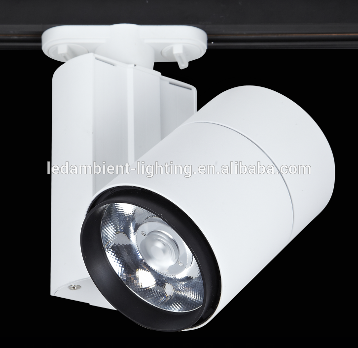 Custom Design Projector LED Spotlight 20W 30W Luminaire Track Spot Light 10degree