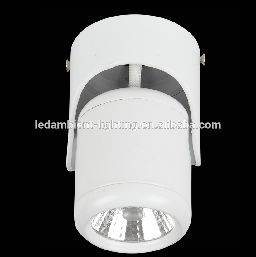 LEDAM Surface Mounted LED Ceiling Light White Junction Box 25W Spotlights