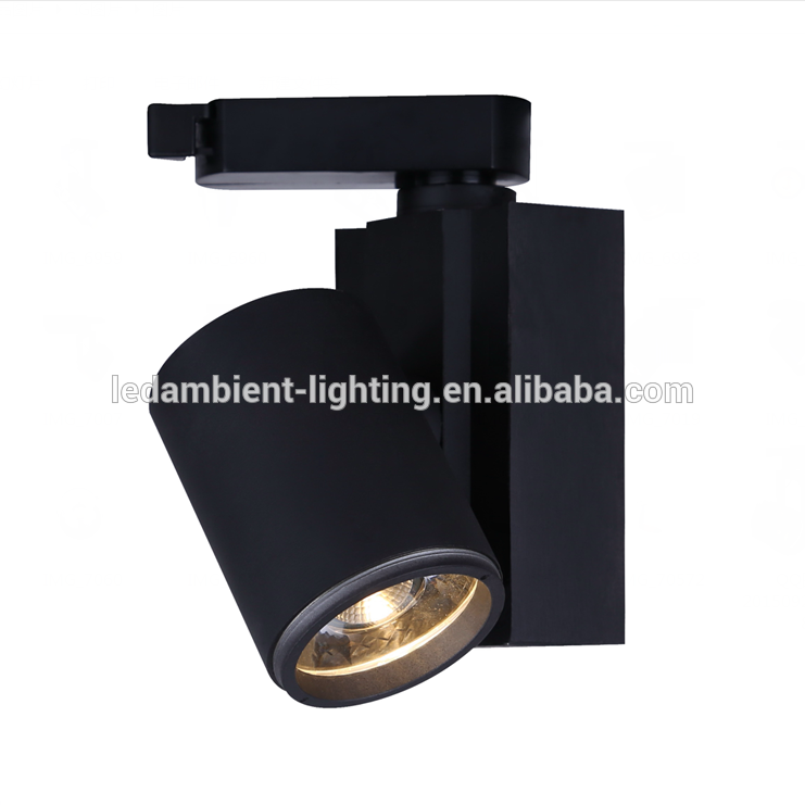 China Showcase Light 20w led COB Track Light Art Gallery Light 3000K 24 Degree