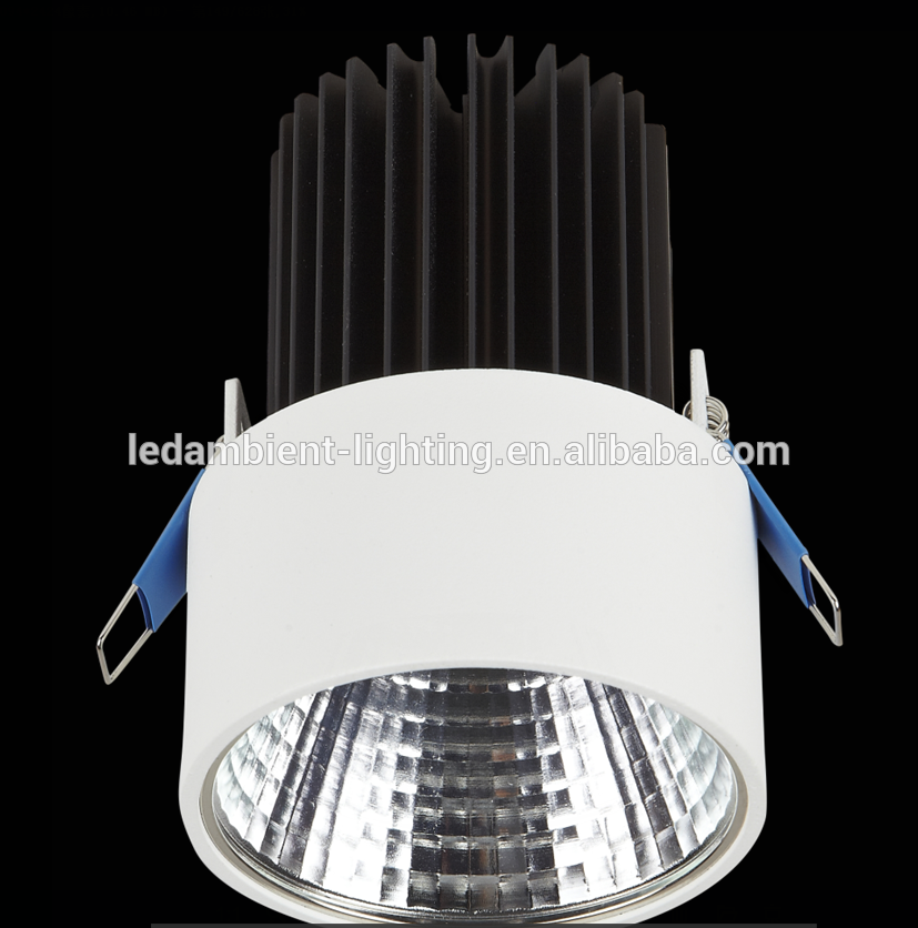 New Products on China Market 10W LED Down Light Highlight Small Article