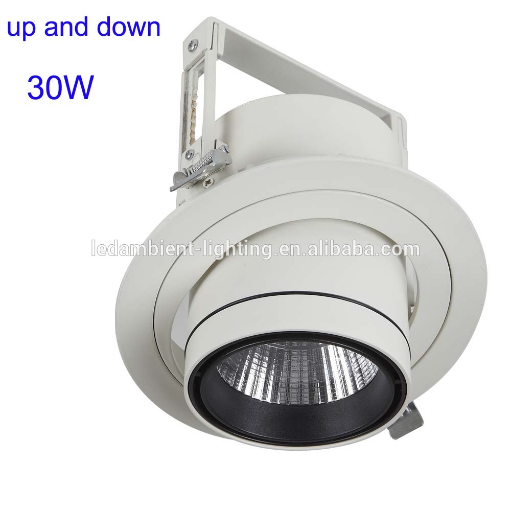 30W LED COB Stretch Downlight for hotel,360 degrees of rotation downlight