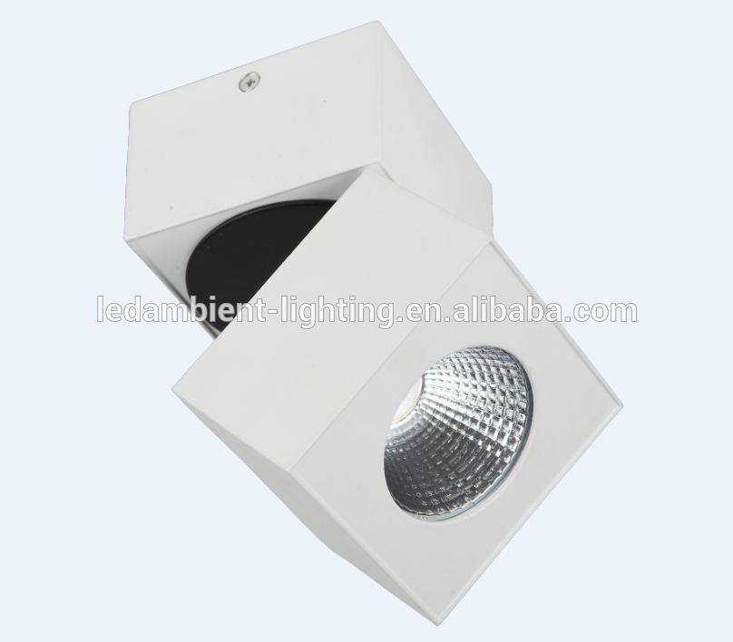 Square Surface mounted led lamps harsh duty suspended with aluminium stems 15W 4000k light 38degrees