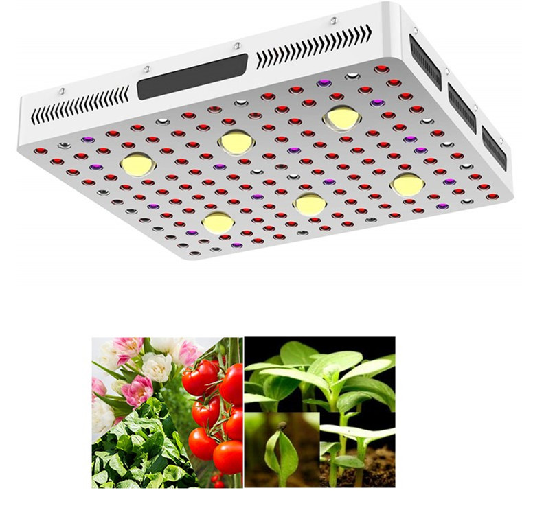 3000W Full Spectrum LED Grow light High Yield Hydroponics Horticulture Led Plant Panel Light