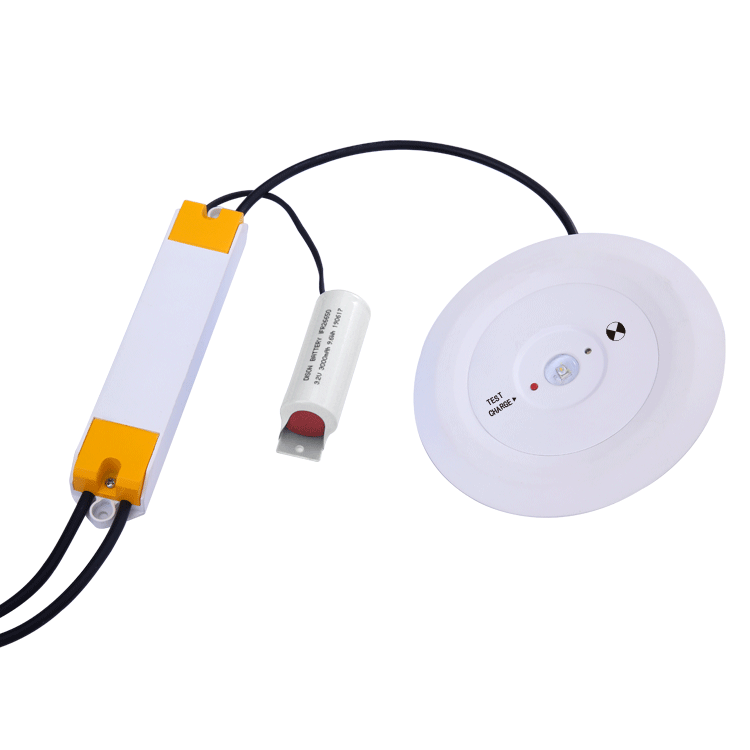 2019 China Factory Cheap Wholesale IP40 3W Led Emergency Downlight
