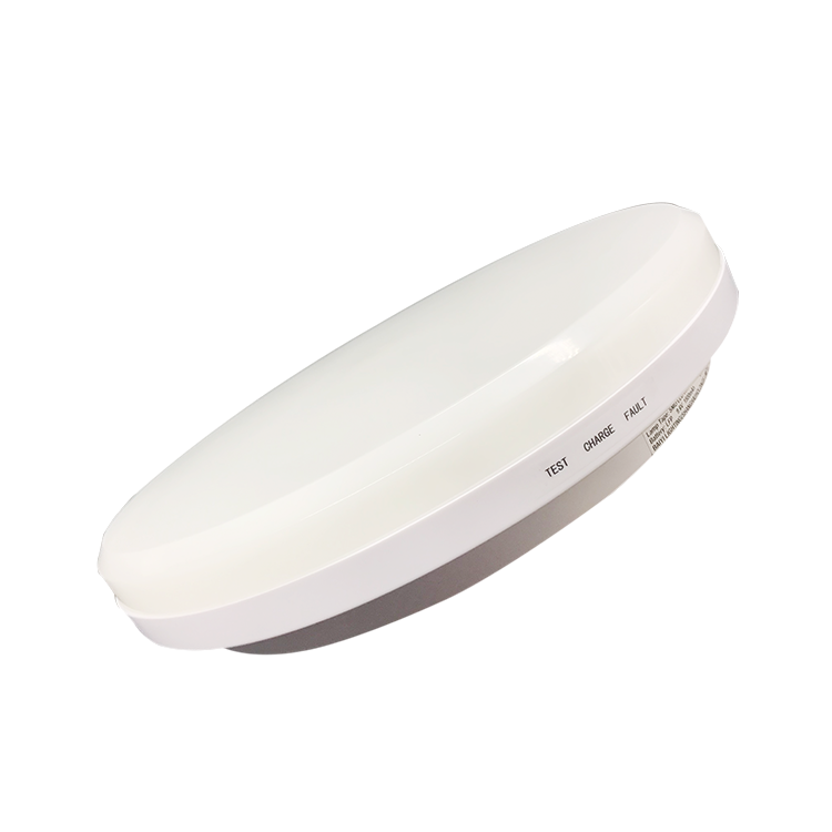 Emergency Office Opal Diffuser Outdoor Oval Ceiling Light