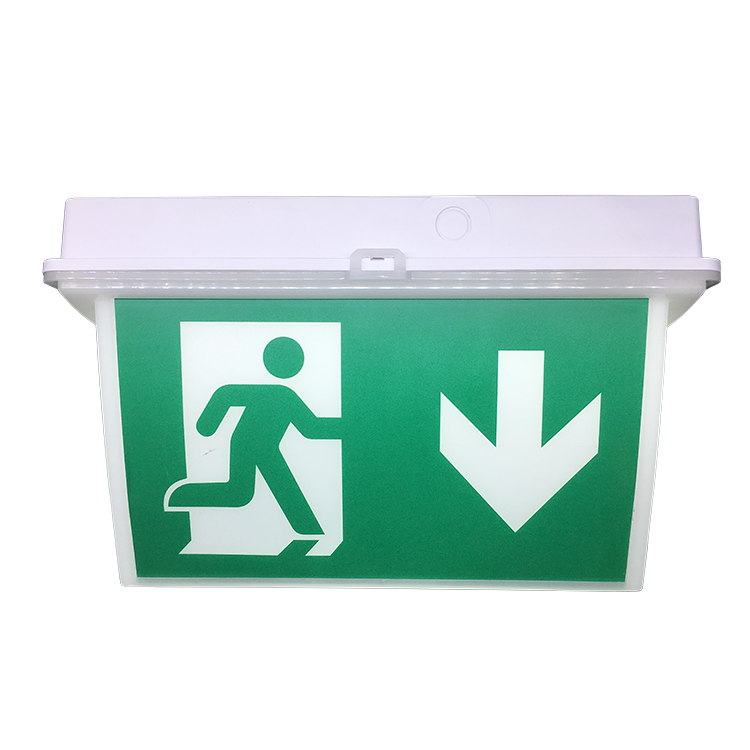 Wholesale Price China Factory Red Led Fire Emergency Hanging Exit Sign