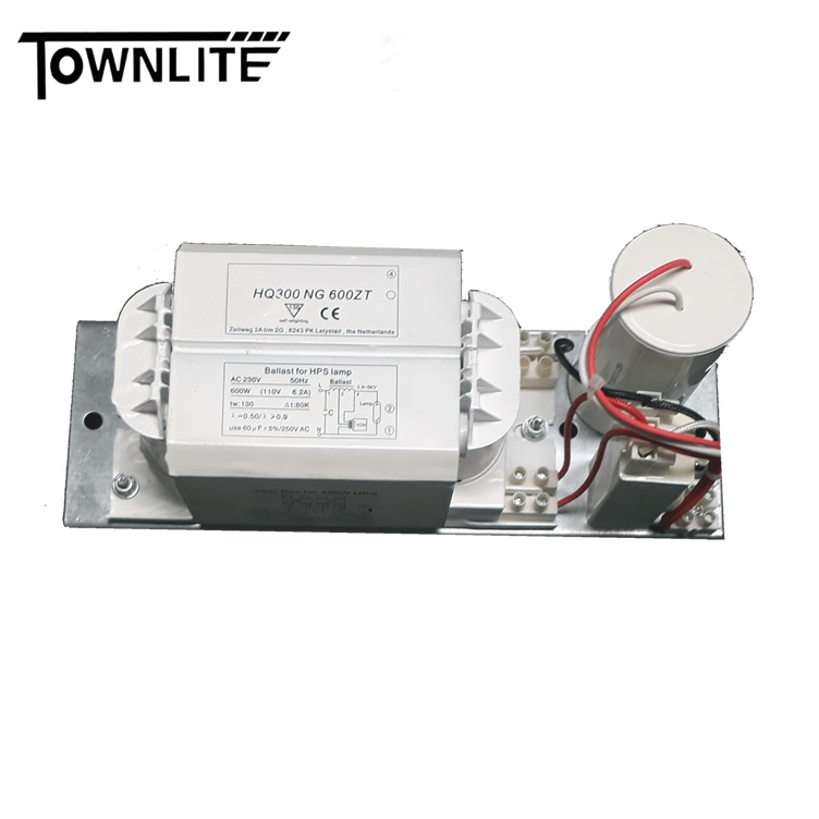 OEM wholesale 600w hps ballast for sodium lamp