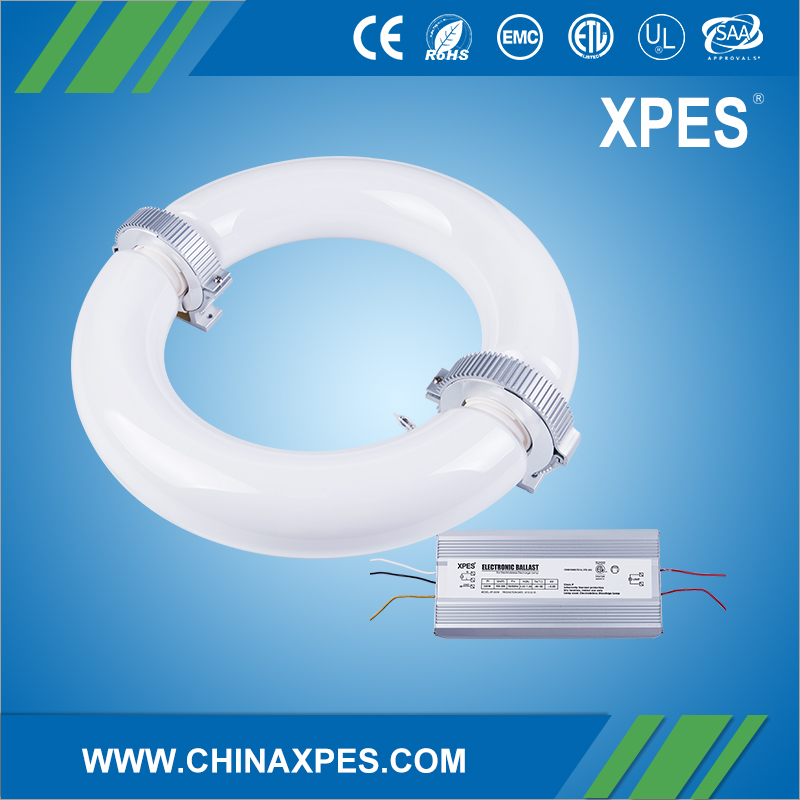 XPES Cost-effective 250 watt lvd induction lamp used for low bay plant lighting