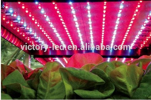 Led Plant Grow Light, T8 Led Growing Light Tube 20W High Power Led Source+Red+Blue For Greenhouse/Horticulture