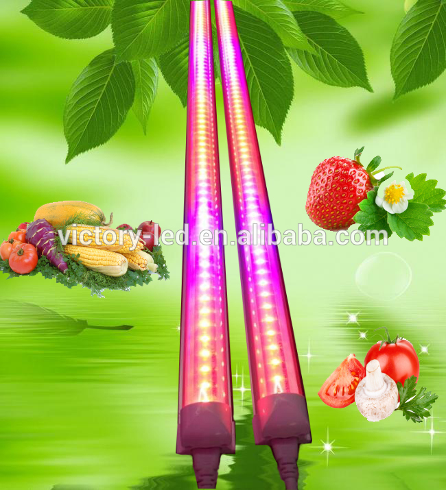 Shenzhen Victory Lighting Single-End Power T8 4ft 1.2m 18W AC85-265V Spectrum Shift LED Grow Light