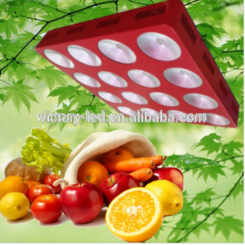 Victory Factory Oem 16 Band Pink Cob 1000W 1200W Led Grow Light With Plugs