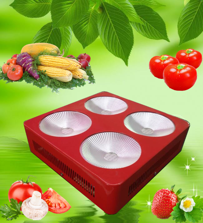 2017 Hot Waterproof Greenhouse 300W COB LED Grow Light For Plant