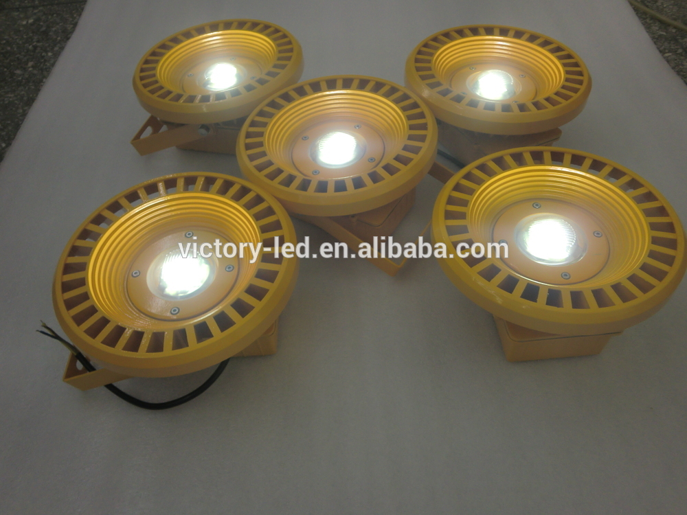 Hazard Area COB 30W 100W EX Mining LED Lamps