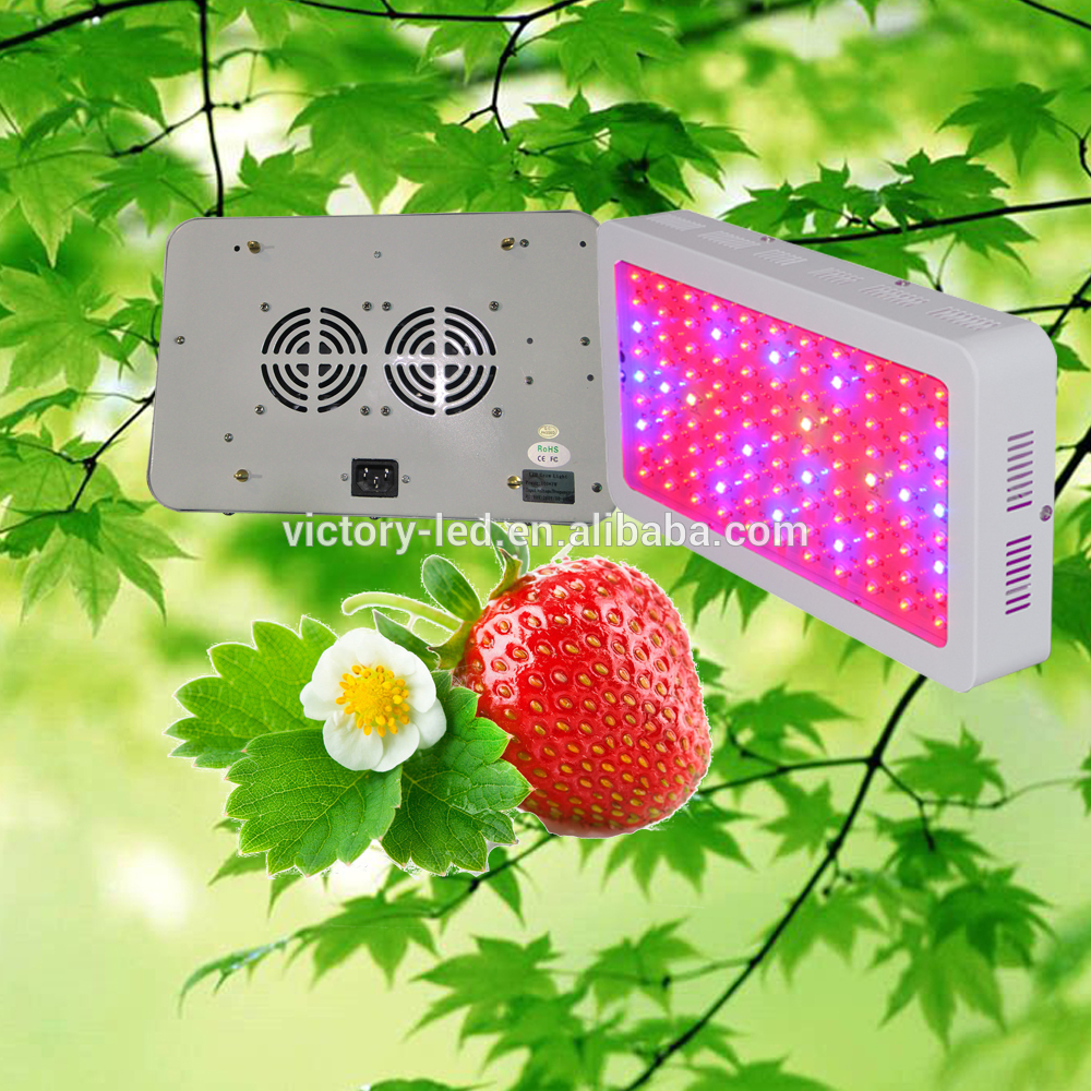 Europe Best Seller seeds tomato lights 300 Watt led grow lamp