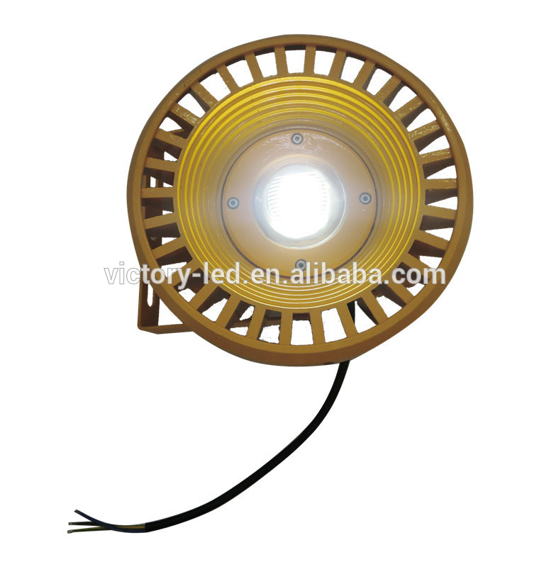 30w 50w 80w 100w Flood LED Explosion Proof Light