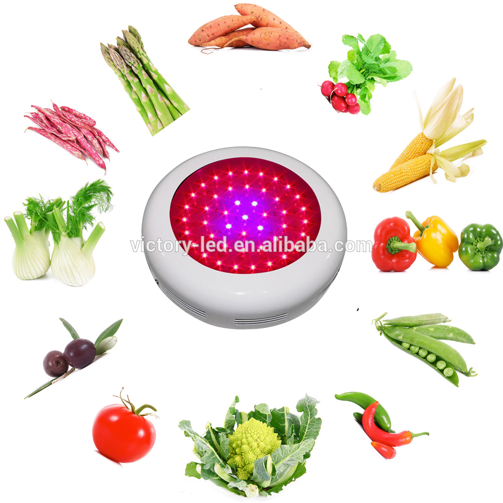 booming 135w sunset sunrise led grow light wholesale for manual hydroponic growing