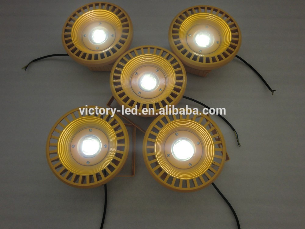 Mining Canopy IP65 80w LED explosion proof lighting fixture