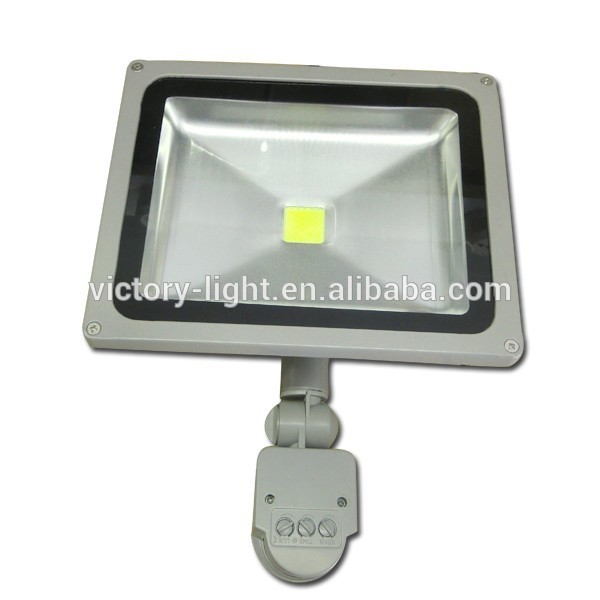 50W Led Floodlight Cool Warm White RGB Garden Outdoor Lamp LED Light 85-265V 12V