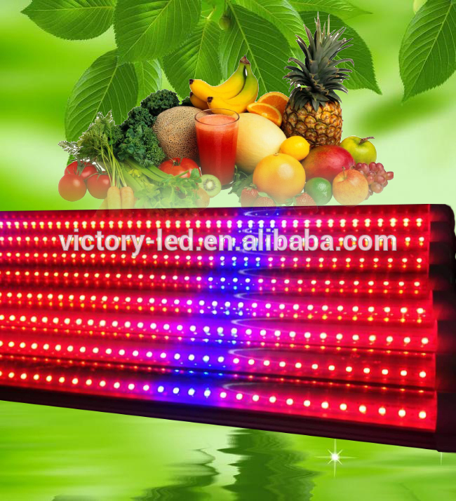 agriculture product t8 led tube grow light/plant grow lights lowes/1200 watt led grow lights