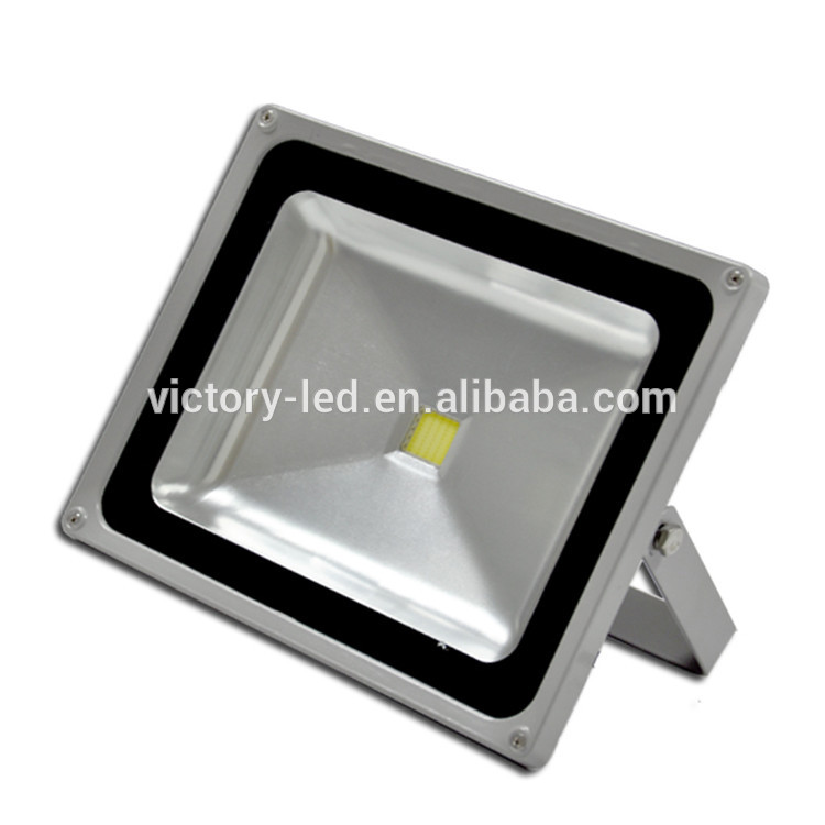 Hot Selling 30W COB Flood Light for Outdoor (WY2970)
