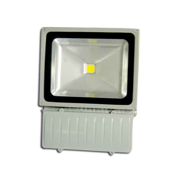 Bridgelux Waterproof 70W 80W 100W Cool Warm White LED Flood Lighting Lamps High Power Outdoor Spot LED Floodlight