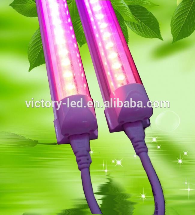 greenhouse tent plant lighting G13 Integrated T8 led grow light tube red blue color