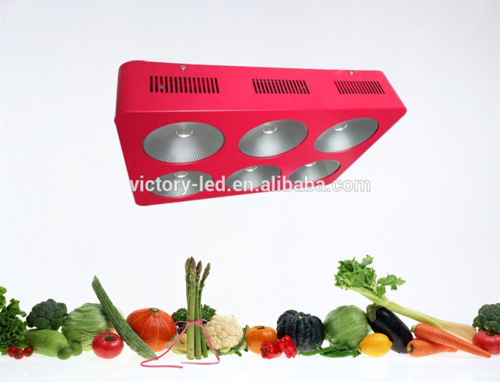 AC85~277V 300-1600W LED Grow Lighting Full Spectrum For Grow Project Stock From China Supplier