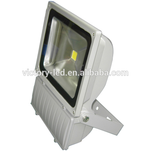 Outdoor Projector IP65 100W RGB LED Floodlight with CE&RoHS