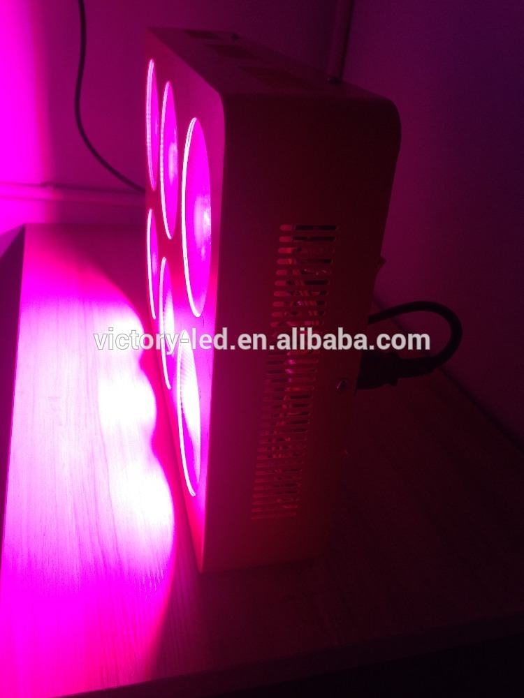 chinese supplier wholesale cob led grow light reflector for plant growth 430w