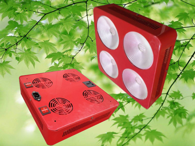 Promote plant grow has widely irradiate AC85-265V 300W 400W 1000W COB LED plant grow light with Red Blue Orange White color