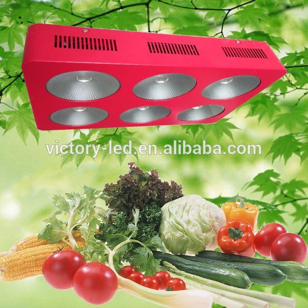 430w cob led grow lights with timer for best flowering and fruiting with full spectrum