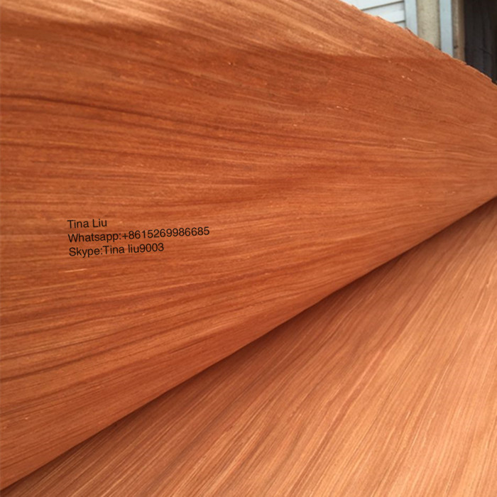 0.24mm recon face veneer red color veneer