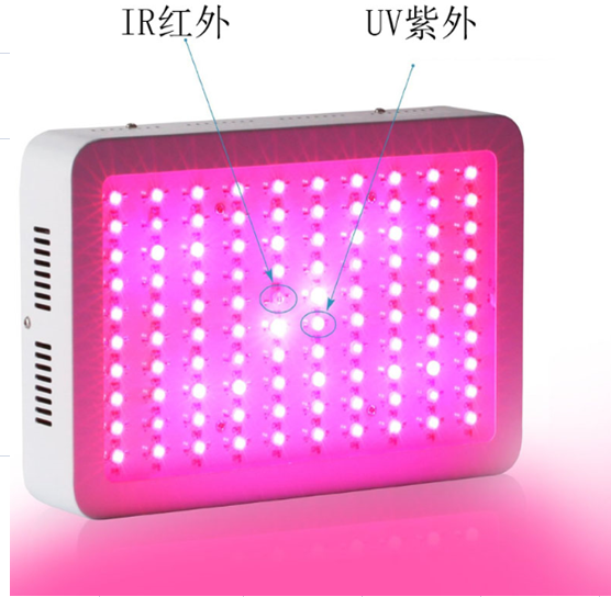 300W 2000W Grow Lights Item Type and LED Light Source led grow light