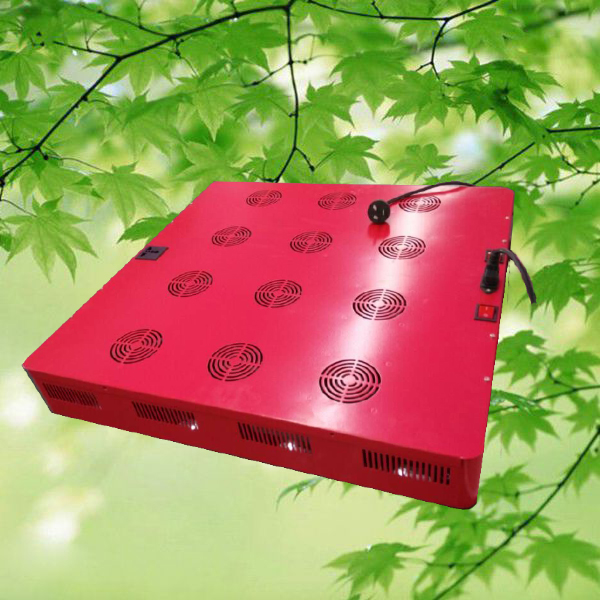 Adjustable Time Control Indoor Hydroponic Growing Systems 1000W Led Plant Grow Light